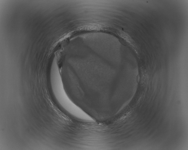 X0000080690681200701121726