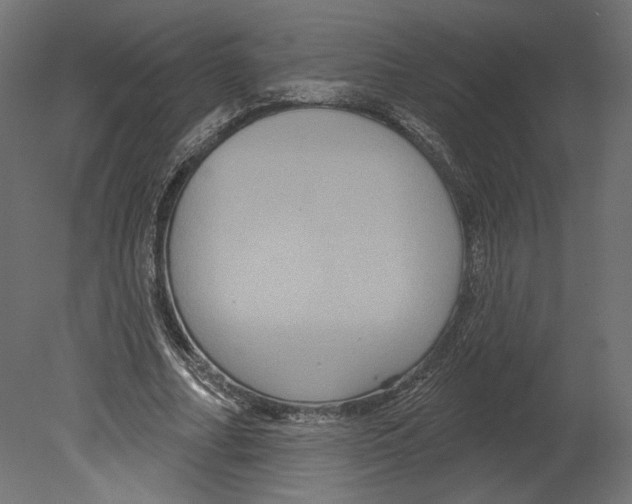 X0000080690682200701121725