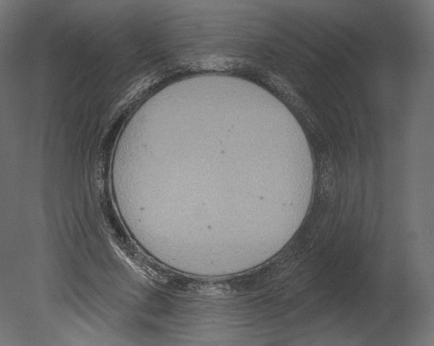 X0000080690683200701121725