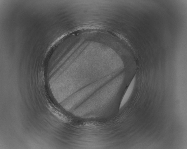 X0000080690684200701121725