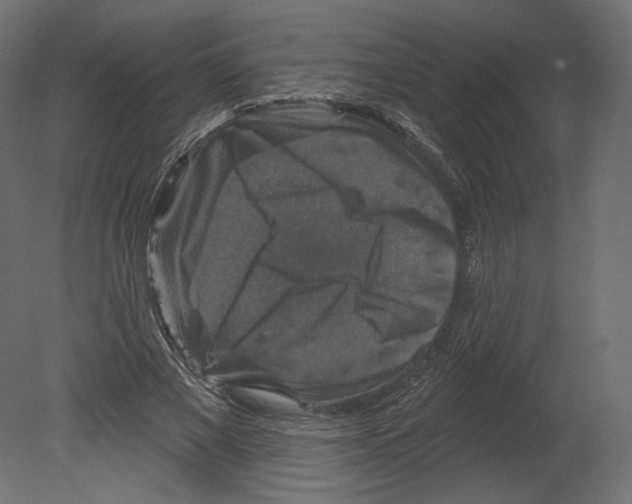 X0000080690685200701121725