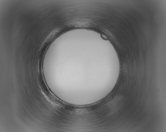 X0000080690686200701121725