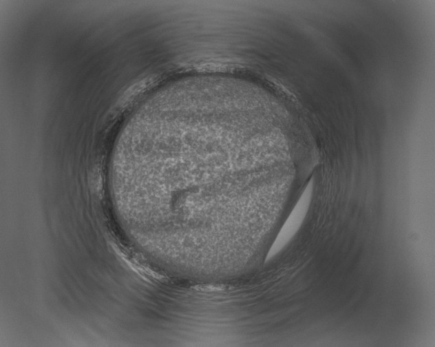 X0000080690687200701121725