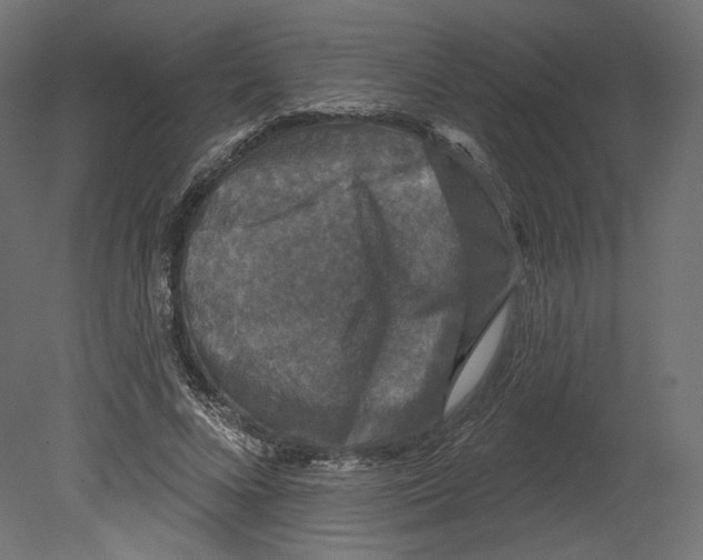 X0000080690688200701121725