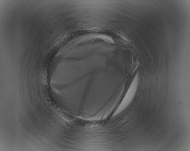 X0000080690689200701121725