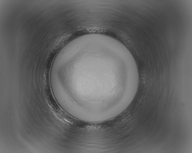 X0000080690690200701121725