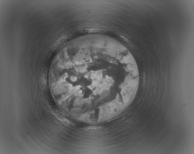 X0000080690691200701121725