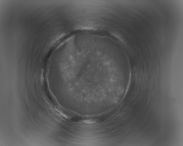 X0000080690692200701121725