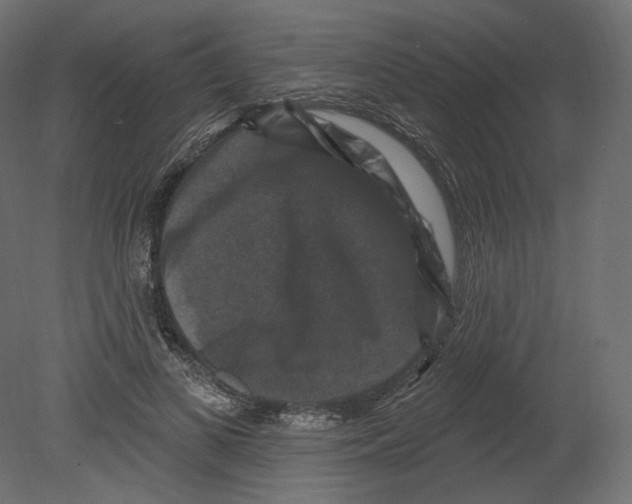 X0000080690693200701121725