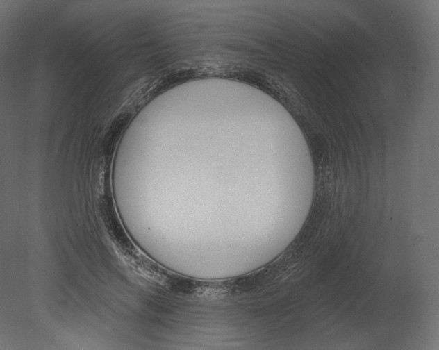 X0000080690694200701121725