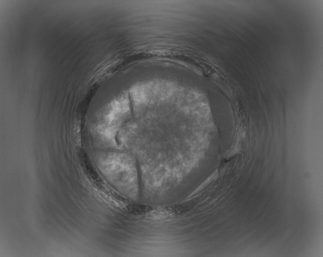 X0000080690696200701121725