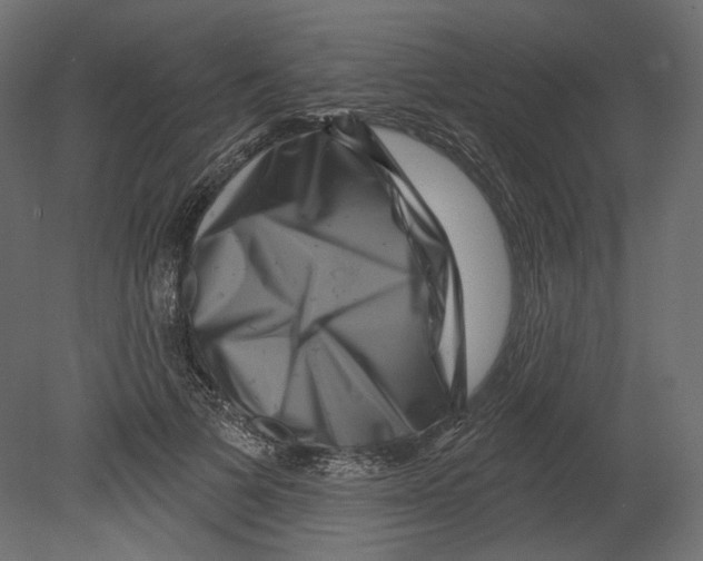 X0000080690697200701121725