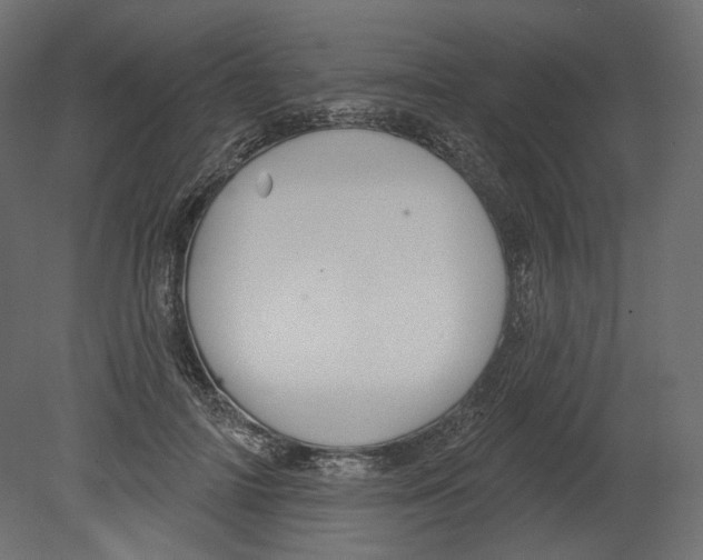 X0000080690698200701121725