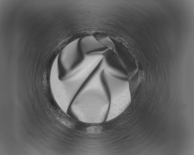 X0000080690700200701121725