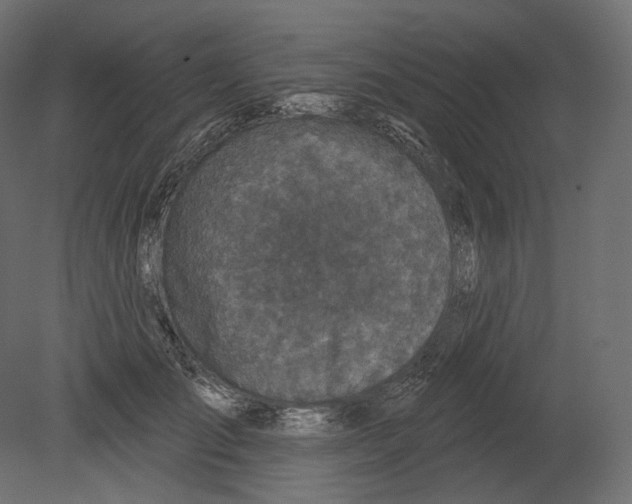 X0000080690701200701121725