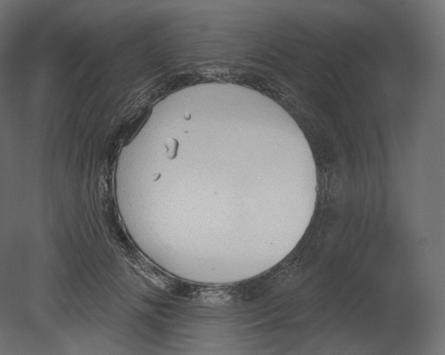 X0000080690702200701121725