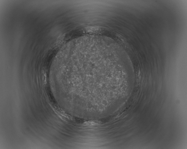 X0000080690703200701121725