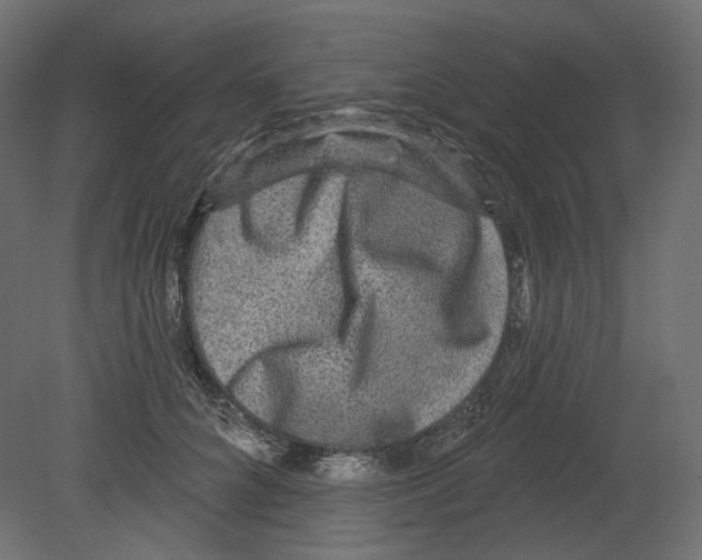 X0000080690704200701121725