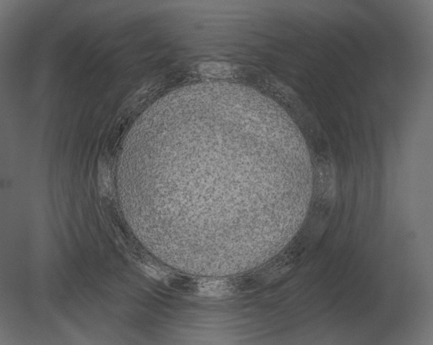 X0000080690705200701121725