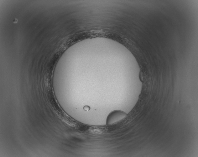 X0000080690706200701121725