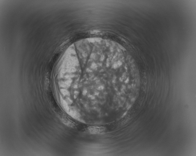 X0000080690707200701121725