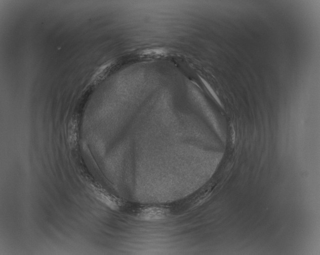 X0000080690708200701121725