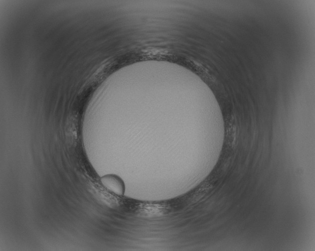 X0000080690710200701121725