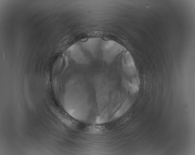 X0000080690711200701121725