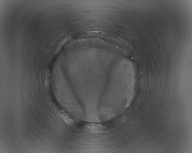 X0000080690712200701121725