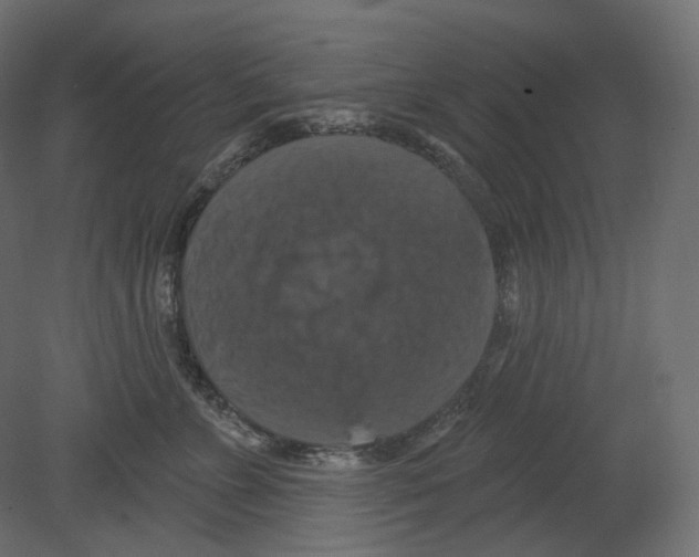 X0000080690715200701121725