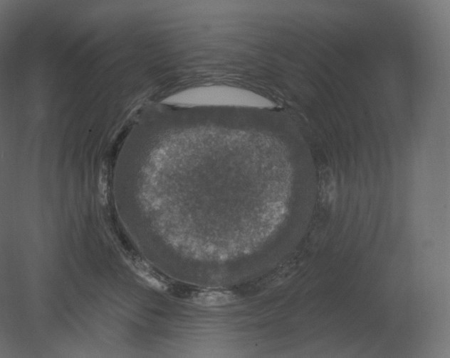 X0000080690716200701121725