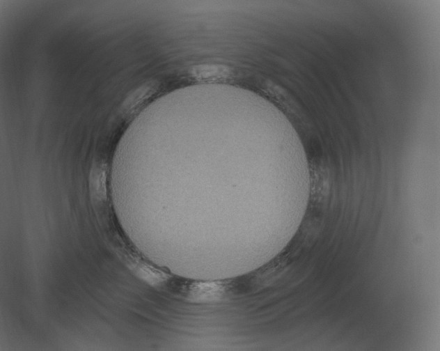 X0000080690717200701121725