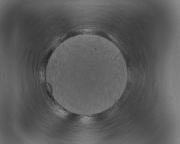 X0000080690718200701121725