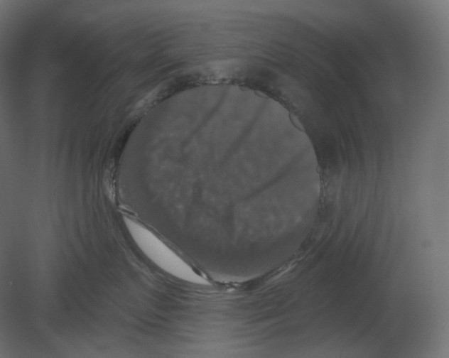 X0000080690719200701121725