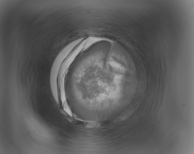 X0000080690720200701121725