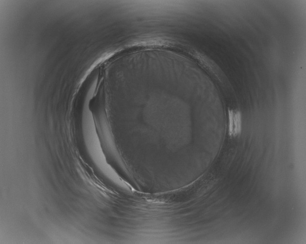 X0000080690723200701121724