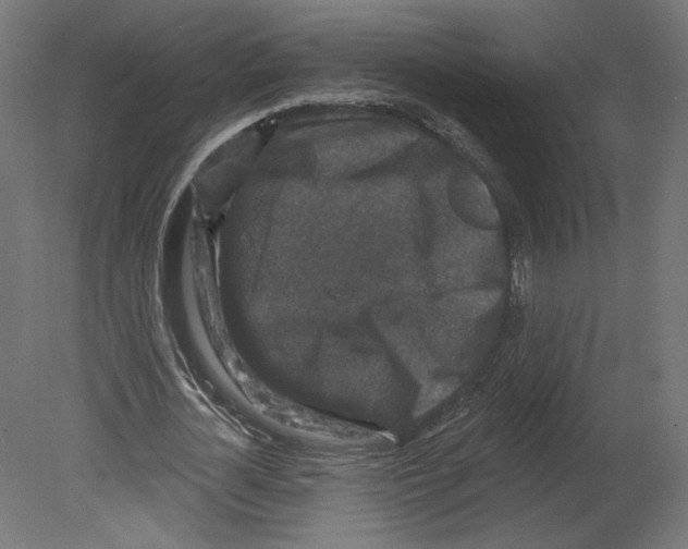 X0000080690724200701121724