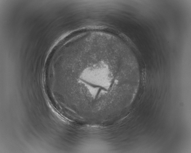 X0000080690726200701121724