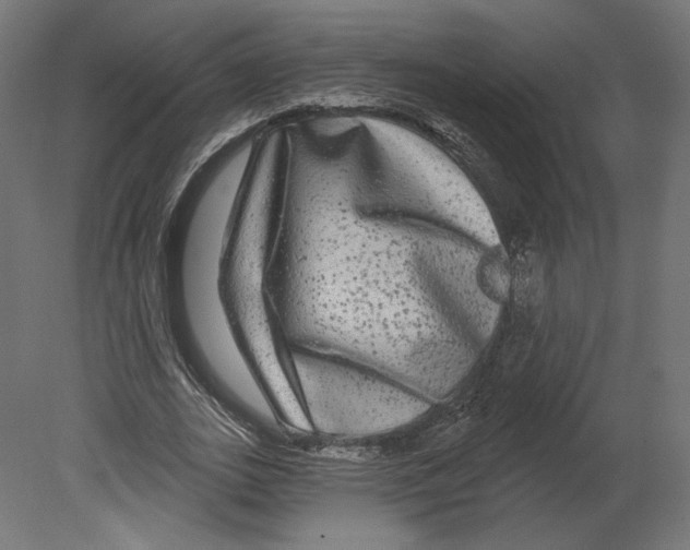 X0000080690727200701121724