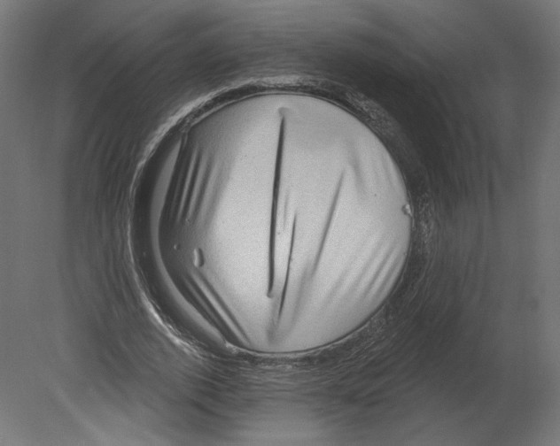 X0000080690728200701121724