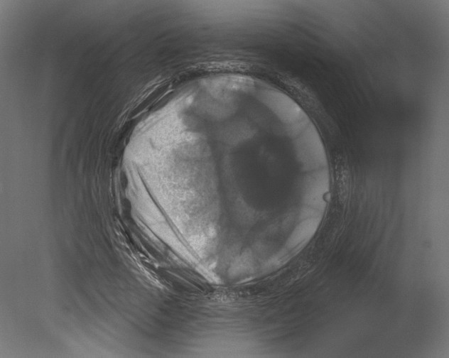 X0000080690729200701121724