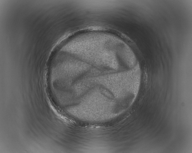 X0000080690730200701121724