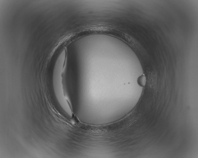 X0000080690731200701121724