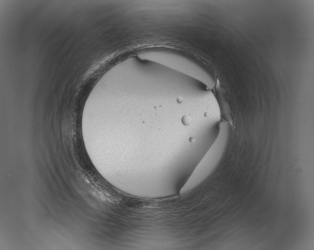 X0000080690732200701121724