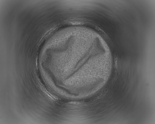 X0000080690733200701121724