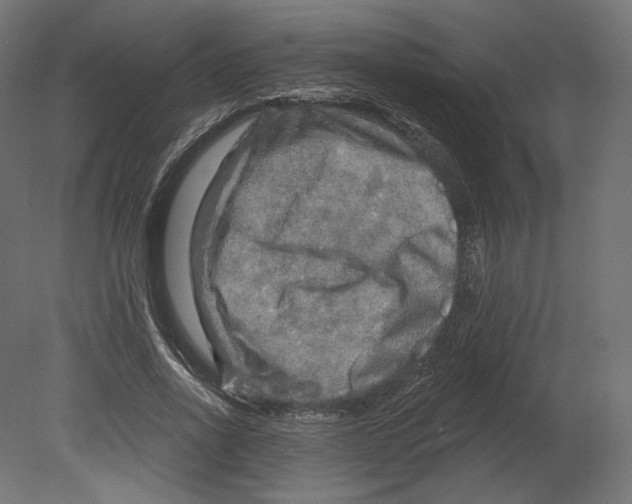 X0000080690734200701121724