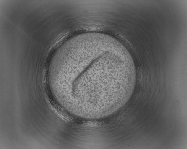 X0000080690738200701121724