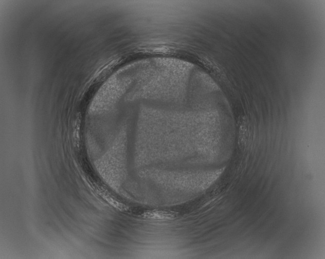 X0000080690739200701121724