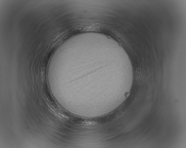 X0000080690741200701121724