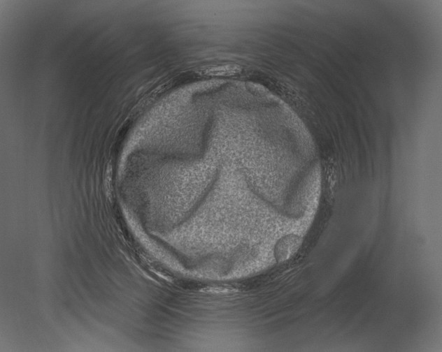 X0000080690745200701121724